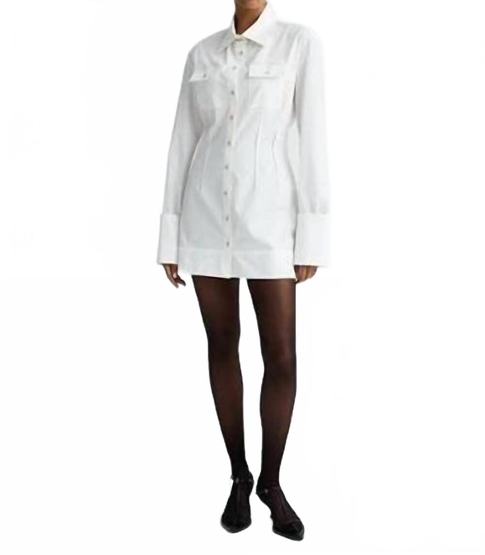 NEW ANNA QUAN hillary mini dress in swan